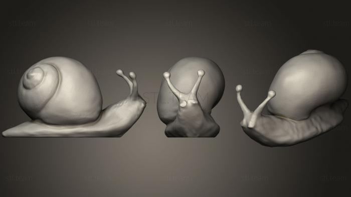 3D model Snail Fixl (STL)